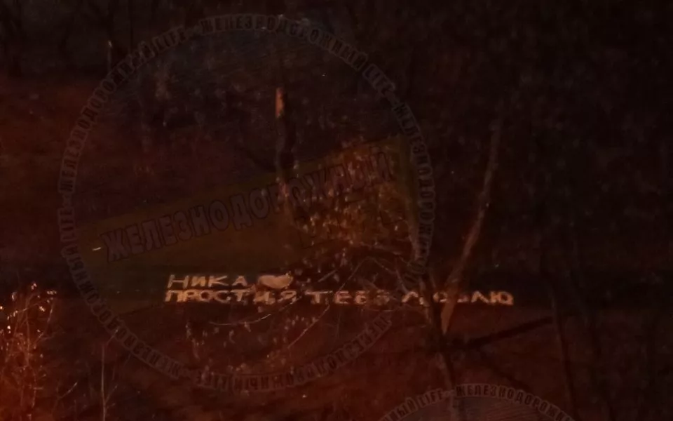 Романтик из Подмосковья оригинально признался в любви при помощи кучи листьев