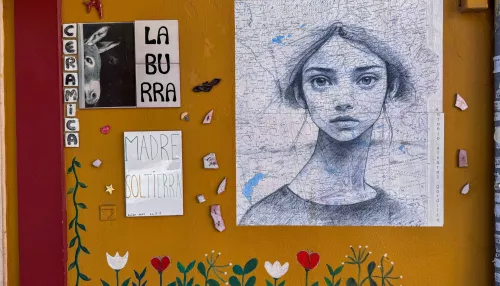 В Испании нашли необычный мурал, где лицо девушки спрятано на карте Алтайского края