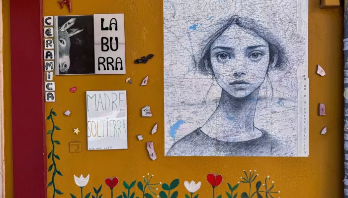 В Испании нашли необычный мурал, где лицо девушки спрятано на карте Алтайского края