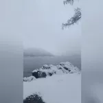 Берега Телецкого озера укрыло пушистым снежным одеялом накануне зимы. Видео