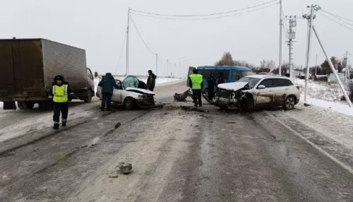 Женщина и 14-летняя девочка погибли в лобовом ДТП на трассе Барнаул — Алейск