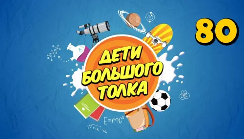 Дети Большого Толка: о чем разговаривают дельфины и есть ли у растений свой язык