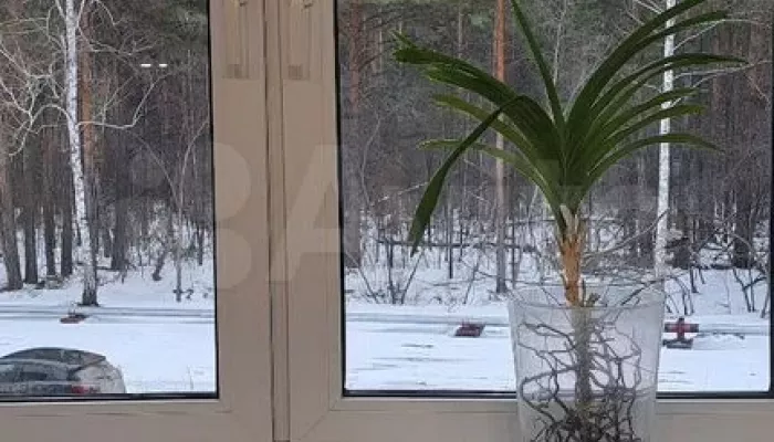 Квартиру с гостевым туалетом с видом на лес продают в Барнауле за 11,5 млн руб. Фото