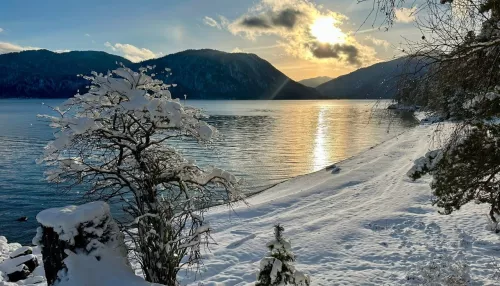 На берега Телецкого озера пришла настоящая зима. Фото