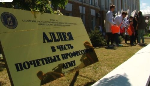 Можжевеловую аллею высадили возле АГМУ в Барнауле