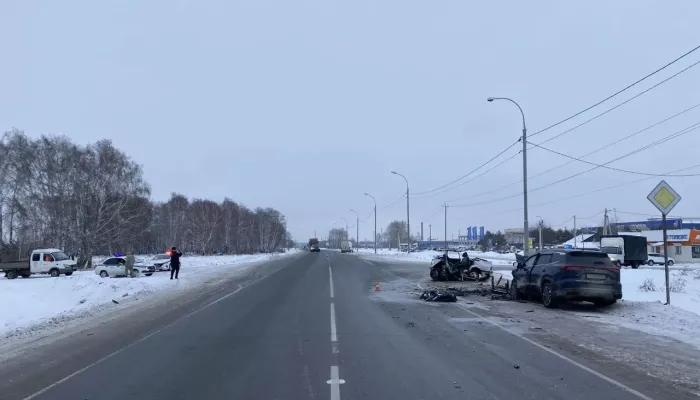 Массовое смертельное ДТП произошло на новосибирской трассе