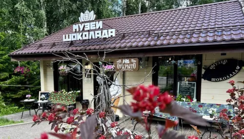 Дом шоколада планируют запустить на алтайском курорте