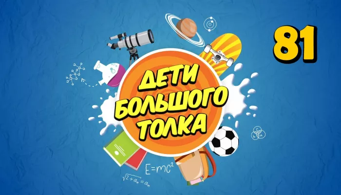 Дети Большого Толка: как устроена дружба в мире животных