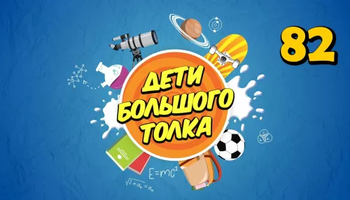 Дети Большого Толка: как устроен наш удивительный мир