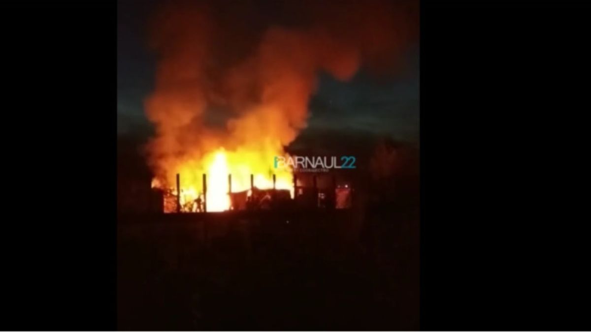 Пожар в "Огоньках": пламя уничтожило хозпостройки в садоводстве Барнаула 