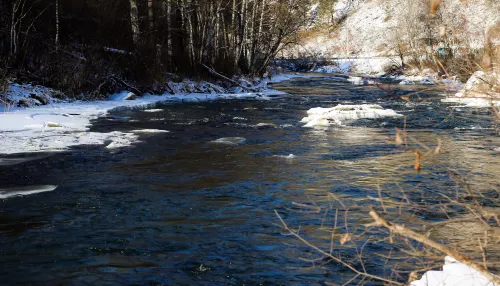 В Алтайском крае животновод сорвался в реку с обрыва и утонул
