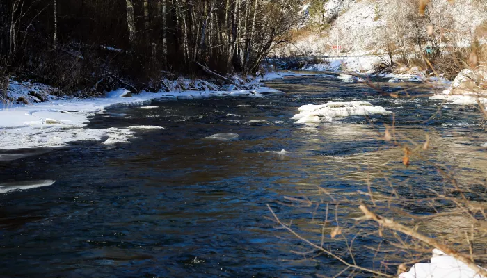 В Алтайском крае животновод сорвался в реку с обрыва и утонул
