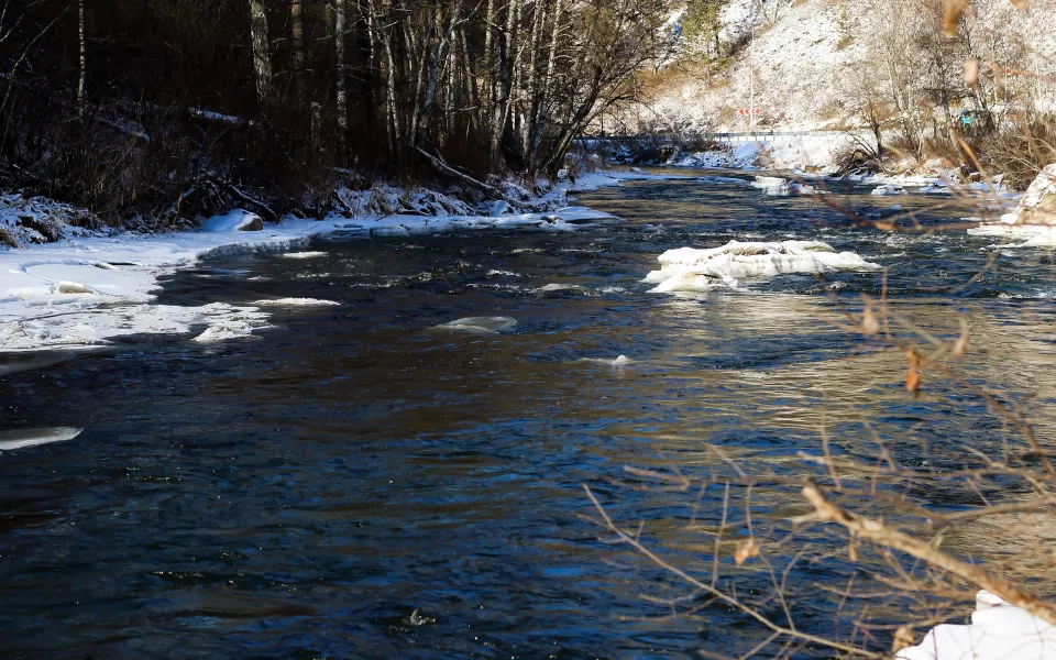 В Алтайском крае животновод сорвался в реку с обрыва и утонул