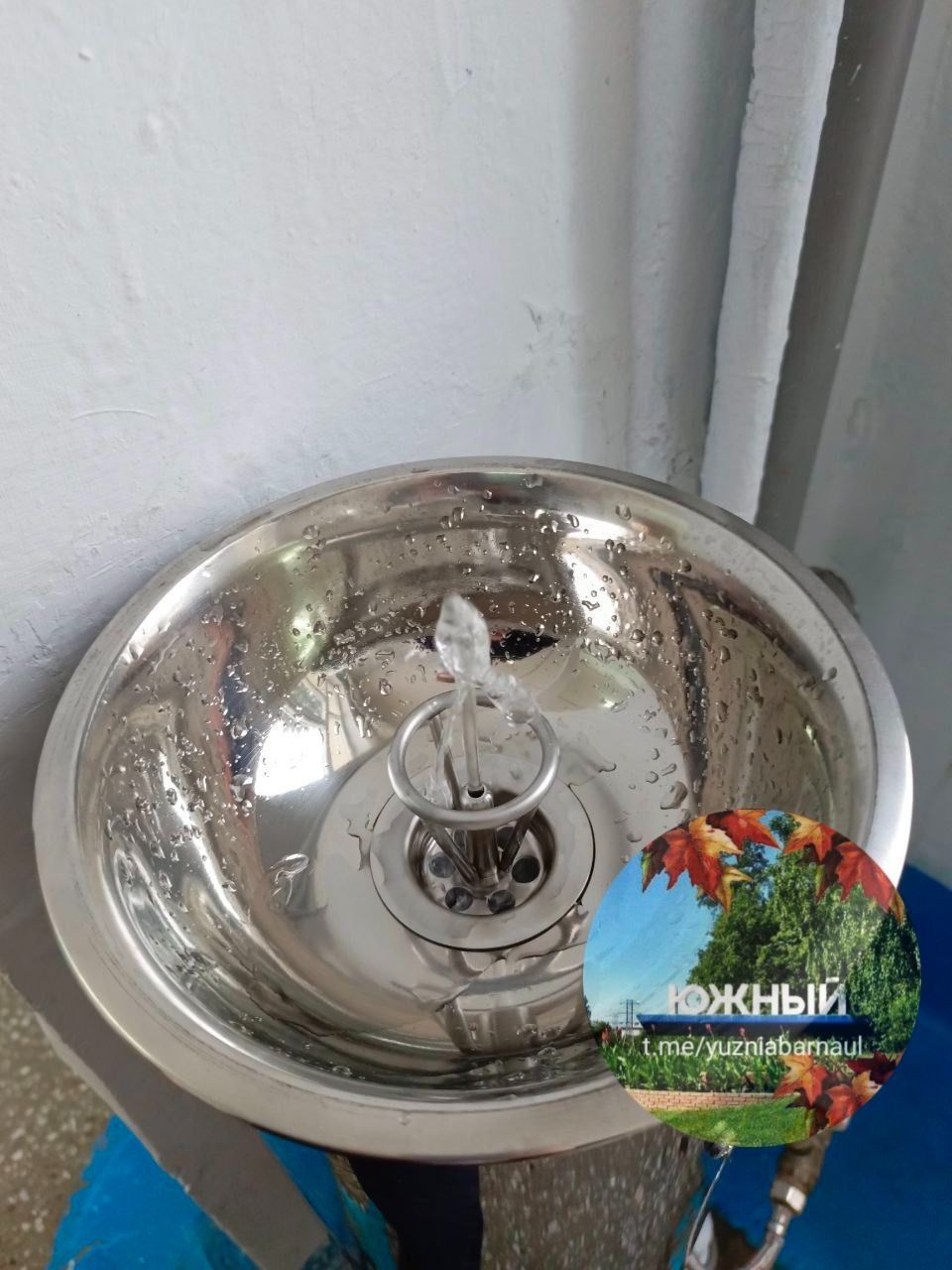 Фонтанчик в барнаульской гимназии