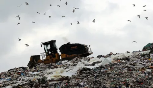 Судьба мусорного полигона в Усть-Калманке остается в подвешенном состоянии