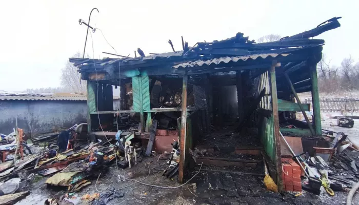 Оставили одних: двое маленьких детей погибли при пожаре в Смоленском районе
