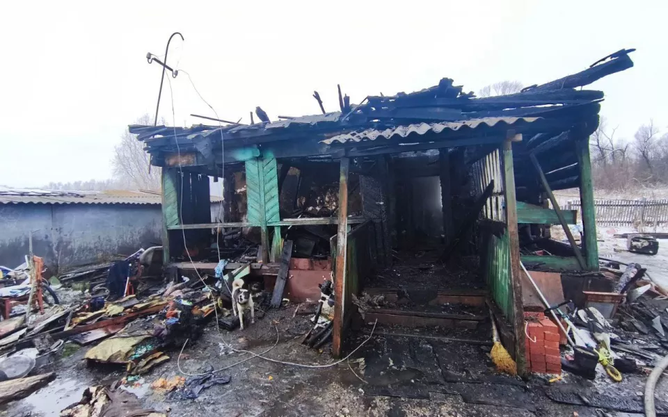 Оставили одних: двое маленьких детей погибли при пожаре в Смоленском районе