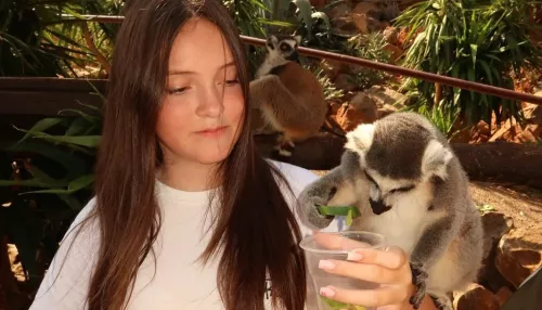 Шары, торт и люксовые подарки: как Филипп Киркоров отметил 14-летие дочери. Фото