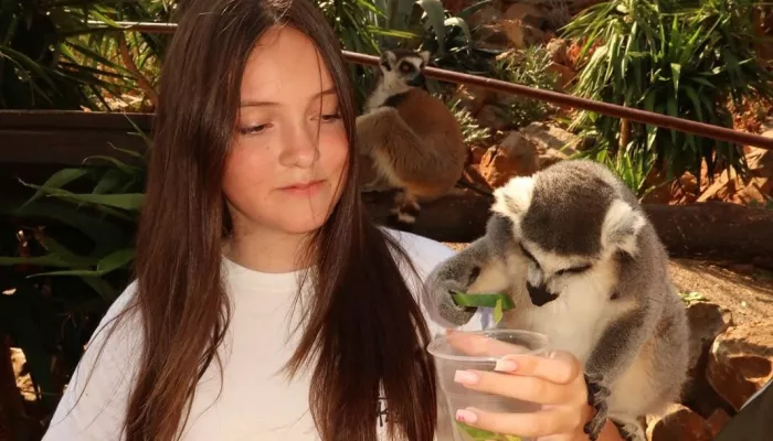 Шары, торт и люксовые подарки: как Филипп Киркоров отметил 14-летие дочери. Фото