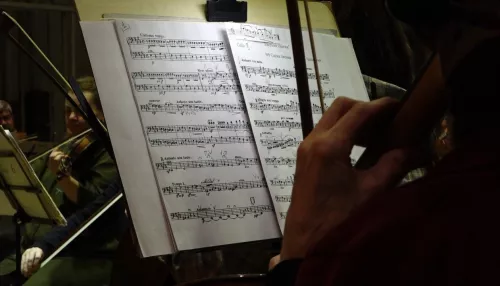 Барнаульский композитор столкнулся с иском от известного скрипача Петра Лундстрема