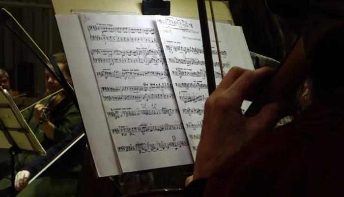 В Алтайском крае пройдут концерты к 185-летию Чайковского