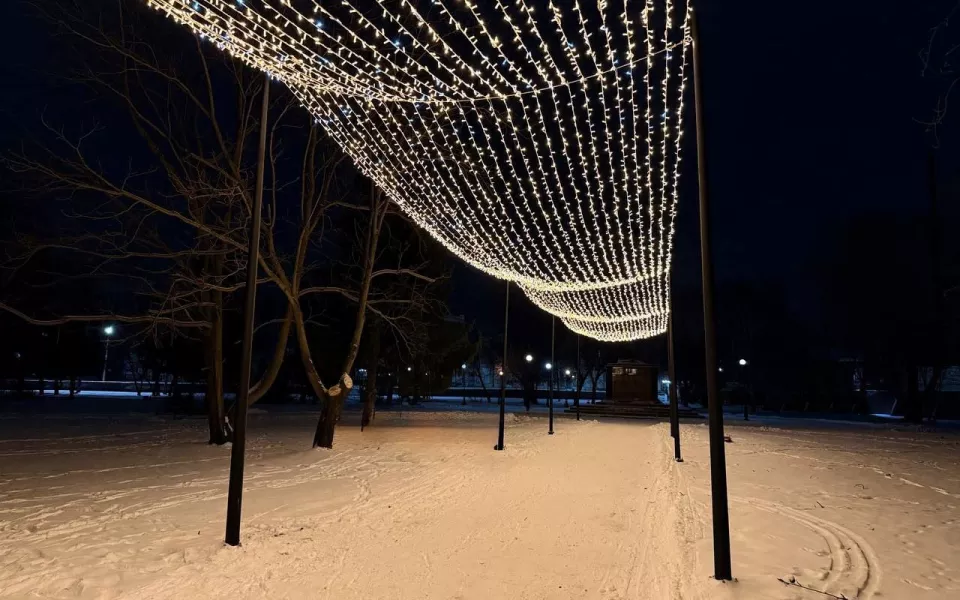 Световой потолок из 28 сияющих нитей украсил бийский парк