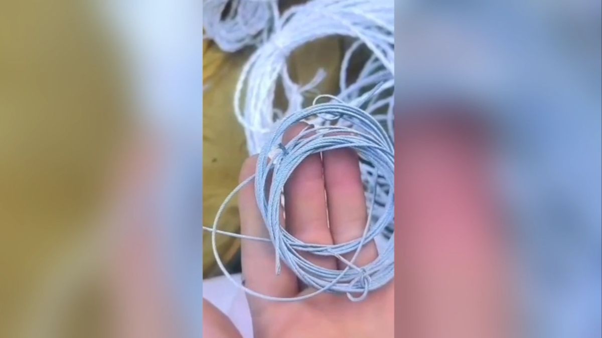 Орудия браконьеров