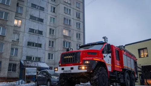 В барнаульской десятиэтажке загорелась квартира. Фото