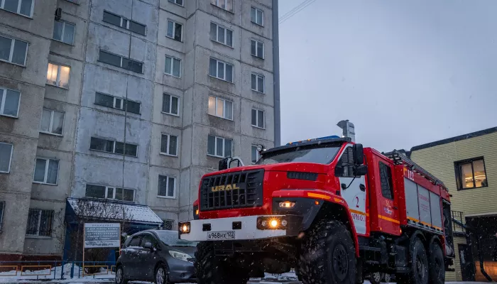 В барнаульской десятиэтажке загорелась квартира. Фото
