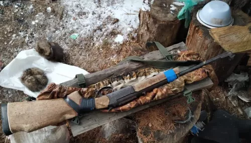 В Сумультинском заказнике Республики Алтай задержали браконьера