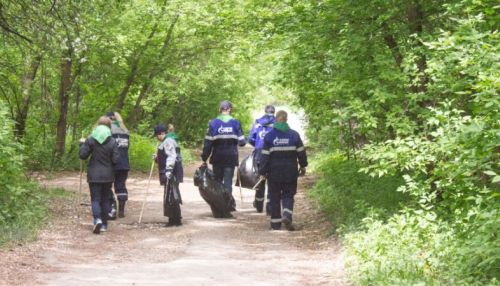 Чистота и порядок:  как прошел субботник в парке Юбилейном. Фоторепортаж