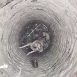 Спасатели в Барнауле вытащили пса, который пять дней сидел в колодце