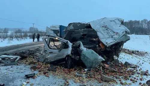 Водитель фургона с яблоками погиб в жестком ДТП на трассе Барнаул — Новосибирск