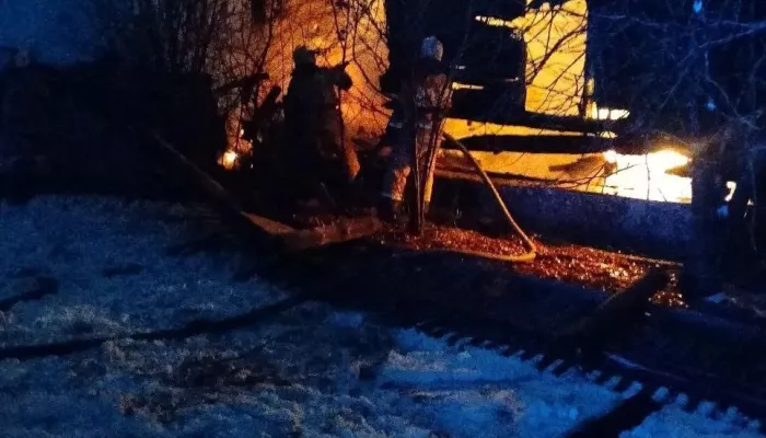 Мужчина погиб при пожаре в Кулундинском районе Алтайского края