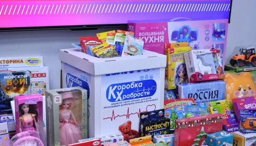 Более тысячи подарков передали алтайские единороссы детям в больницах. Фото