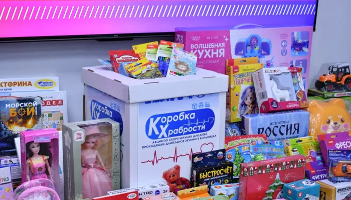 Более тысячи подарков передали алтайские единороссы детям в больницах. Фото