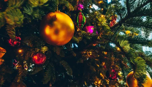 В каких цветах встречать Новый, 2026 год: советы имидж-стилиста