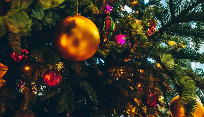 В каких цветах встречать Новый, 2026 год: советы имидж-стилиста