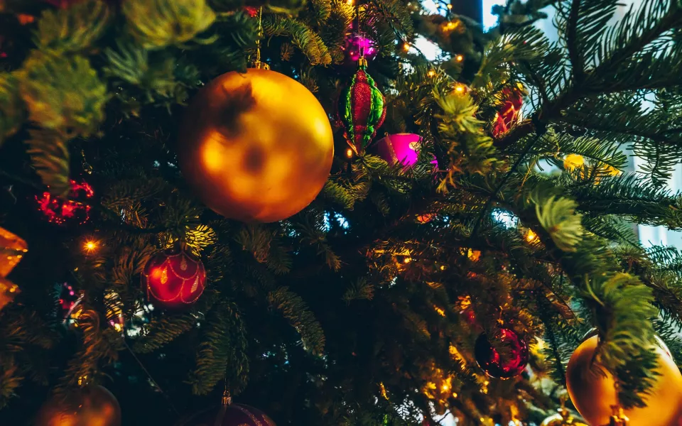 В каких цветах встречать Новый, 2026 год: советы имидж-стилиста