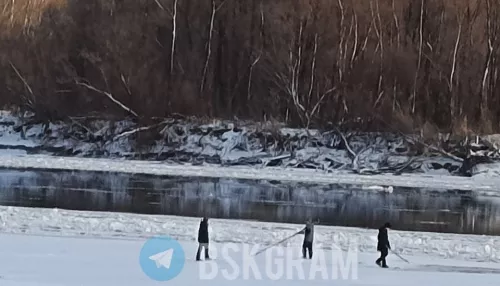 Кругом полыньи: детей заметили на едва замерзшей реке в Бийске