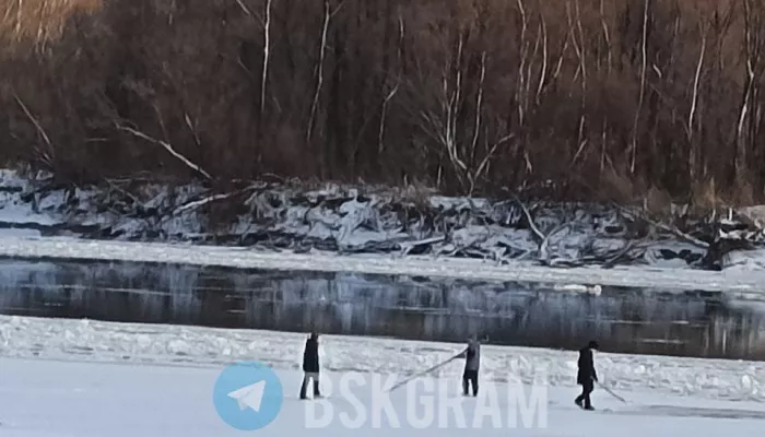Кругом полыньи: детей заметили на едва замерзшей реке в Бийске