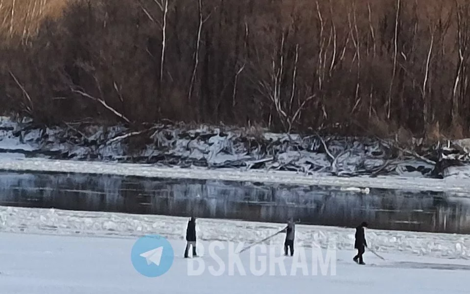 Кругом полыньи: детей заметили на едва замерзшей реке в Бийске