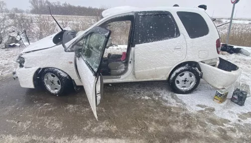 Женщина на Toyota погибла в аварии с грузовиком на трассе под Рубцовском