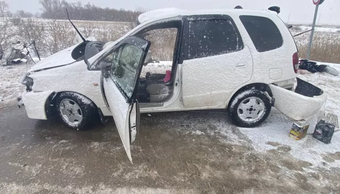 Женщина погибла при столкновении с грузовиком на трассе под Рубцовском