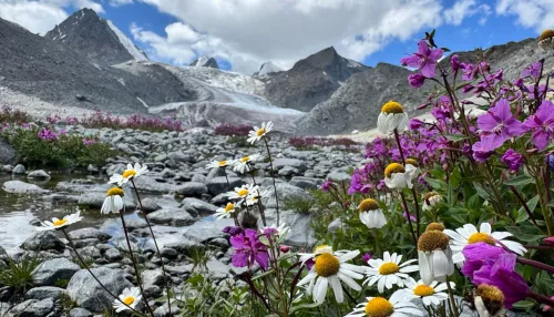 Ну когда уже лето: в Сайлюгемском нацпарке напомнили о красотах Алтая. Фото