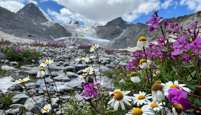 Ну когда уже лето: в Сайлюгемском нацпарке напомнили о красотах Алтая. Фото
