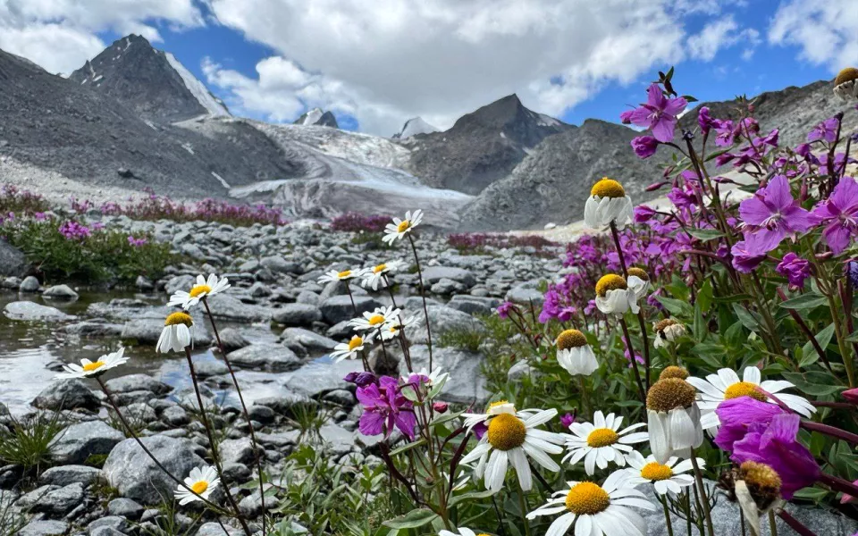 Ну когда уже лето: в Сайлюгемском нацпарке напомнили о красотах Алтая. Фото