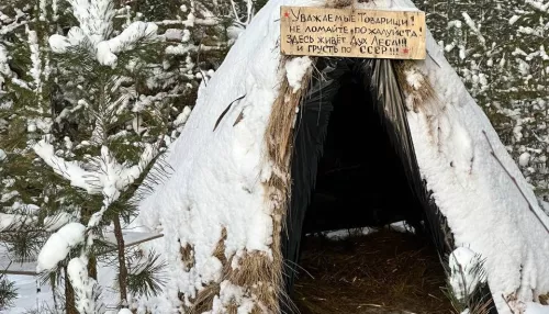 Колоритный ностальгический шалаш обнаружили в барнаульском лесу