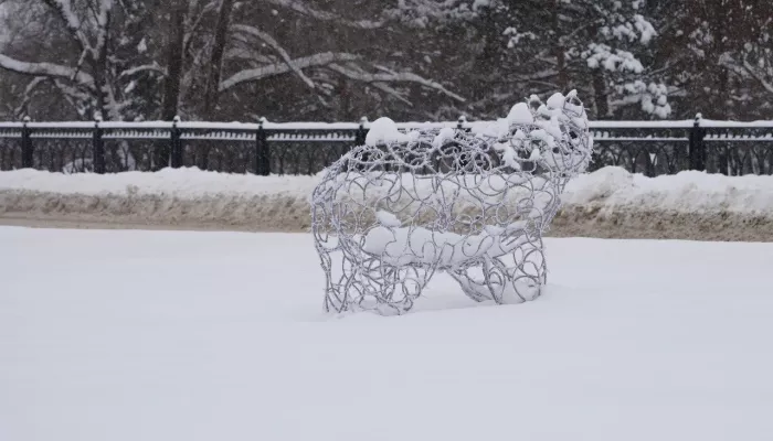 Ели, гирлянды и горки: Бийск активно украшают к Новому году
