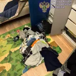 Сосед пришел с молотком: новые детали убийства матери и ребенка в Подмосковье